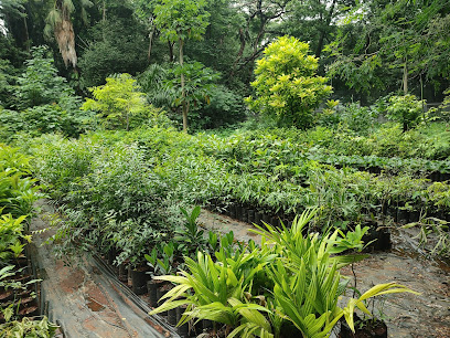 Government ornamental plant Nursery