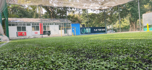 GreenBox Turf