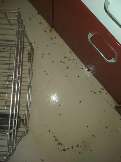 Hidden bugs Pest Control